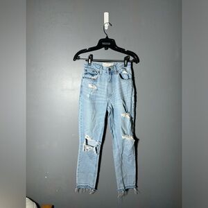 Abercrombie & Fitch Curve Love Mom Jean Size 24